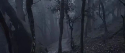 “禁区”国庆堵车？哀牢山发布安全警示