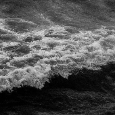 范冰冰出海做TikTok的3个月后