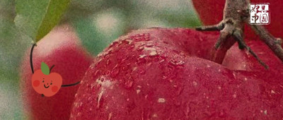 高原红，说谁呢？🥰