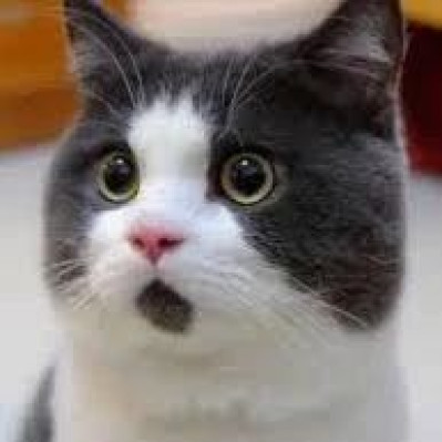 洗衣凝珠里究竟有谁在啊！一颗竟能洗一桶这靠谱吗？