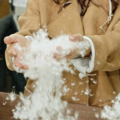 全国大降温，多少人被“假羽绒服”坑惨了？