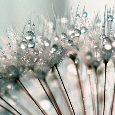 天寒露重，望君珍重