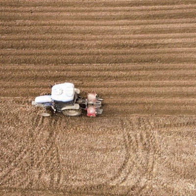 非法占用耕地典型！有人挖塘养甲鱼、有人建旅游项目