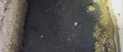 每日热问丨业主花千万买房，楼内夹层藏超万只蛆，能要赔偿吗？