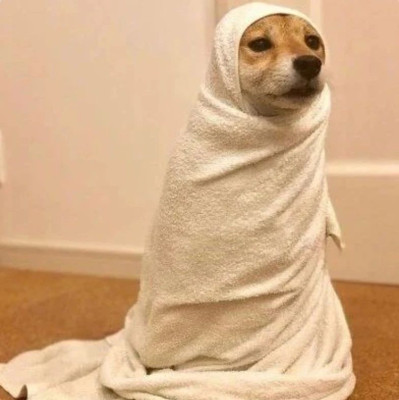 到了挪威才知道自己的秋衣秋裤有多可笑……