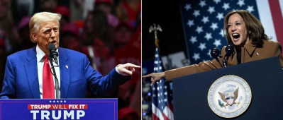 美国大选开票中！最新数据