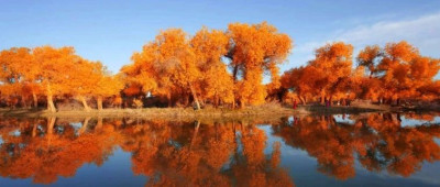 金色的额济纳，十月限定！