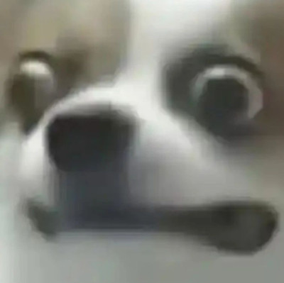 过年全村人盯着你回家，怎样才能堵住七大姑八大姨的嘴，惊艳同学聚会？