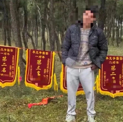 擅自组织斗羊比赛，男子被拘留
