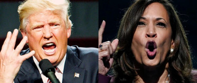 特朗普是铁拳，哈里斯是戴着天鹅绒手套的铁拳