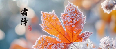 在心里种花的人，人生才不会荒芜