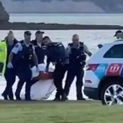 新西兰警方确认死者为中国公民，我总领馆发声