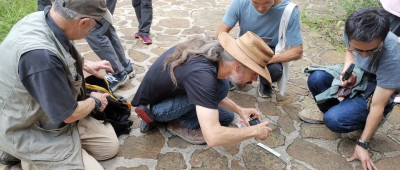 全世界的专家第一次来到这个公园时都震惊了，你们中国的化石多到用来铺路吗？ | 卢静