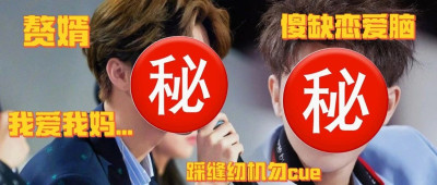 赘婿、妈控、200万自证恋爱脑...过气顶流都怎么养老？