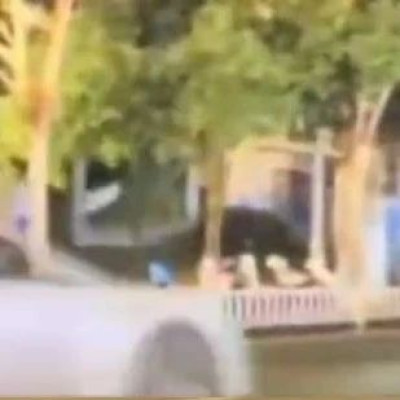 江西一家三口被撞身亡肇事者疑泄愤，警方通报