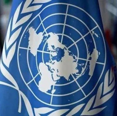 联合国官员：“这不是撤离”