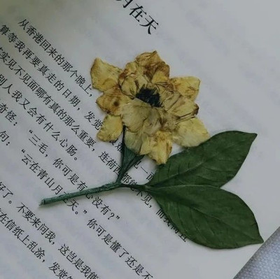 人生第一笔稿费，成为我最喜欢的时光书签