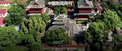 下一个火的，会是它吗？