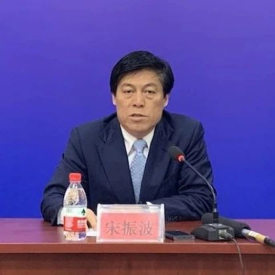 宋振波，主动投案