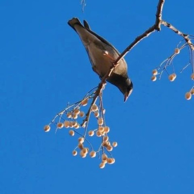 七言 | 你的好运，要来了