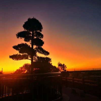 老教授去世五年，捐款仍年年按时到账