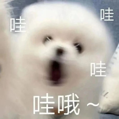 我有一招，专治不爱刷牙的孩子，离谱但管用！