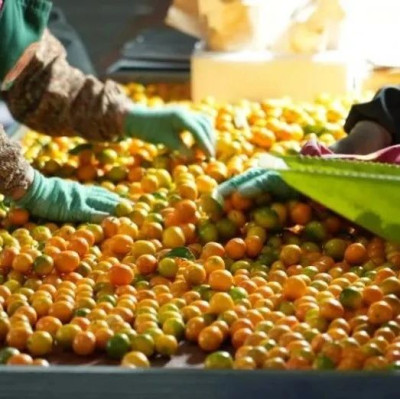 拼多多高质量发展战略再升级：成立“商家权益保护委员会”，深化新质供给