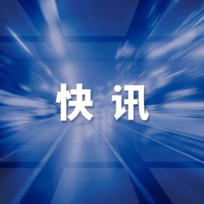 金与正最新发声