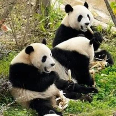 8岁儿童被终生禁入，主管部门回应