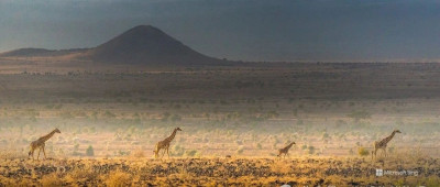 老胡的周刊（第169期）