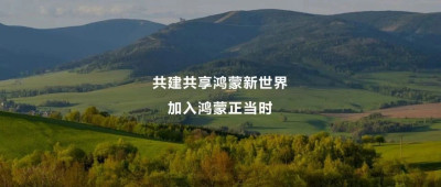 当一朵花选择盛开：鸿蒙开发者的个人史诗