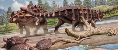 我国恐龙家族添新成员！