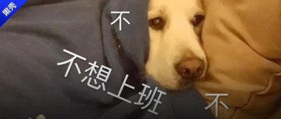 办公室高票选出的秋冬上班好搭子！有它放心晚起半小时！