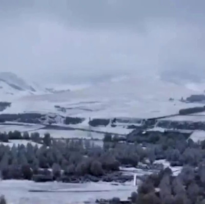 燃“煤”之急，怎么解