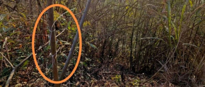 一教师遭电击身亡，嫌疑人柯某喜（男，64岁）在逃