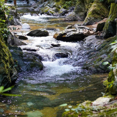 哀牢山爆红，文旅却在爆雷