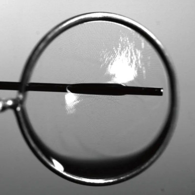 23分36秒！“吹泡泡”吹出个世界纪录