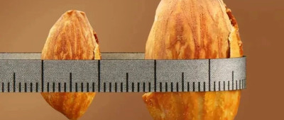 年货已经卷到这种程度