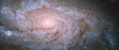 我国科学家发现银河“盘古”；广州市一周内新增437例登革热病例｜环球科学要闻