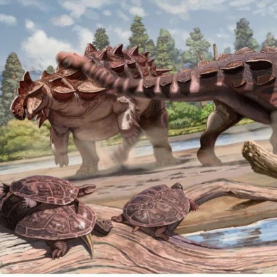 我国恐龙家族添新成员！