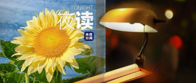 60张让心情变好的氛围图，请收