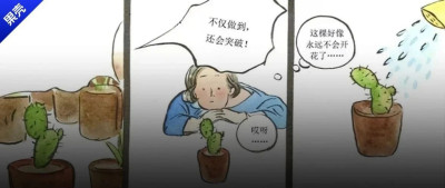 我们的教育制度希望每朵花达到标准，但人不是种子，至少不是同一种种子