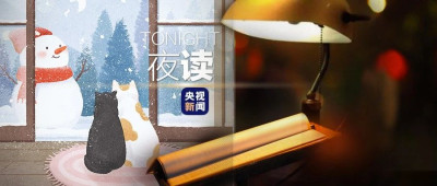 永远为生活中的小事雀跃