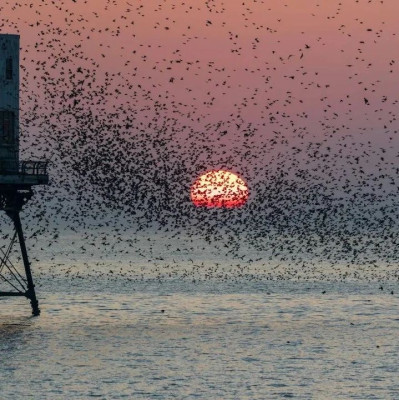 25岁时错失诺奖，是趣事还是糗事？ | 赠书