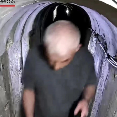 以首次公布辛瓦尔地下隧道画面