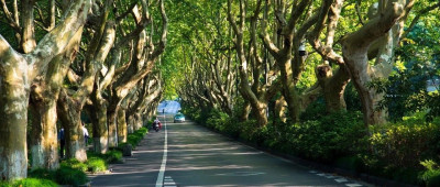 新时代“枫桥经验”有何新经验