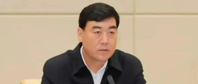 数月未露面，杨发森主动投案