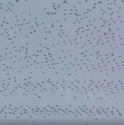 蔡国强烟花秀大量无人机坠海，本人回应