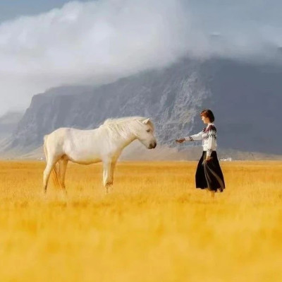 七言 | 你真是花容月貌