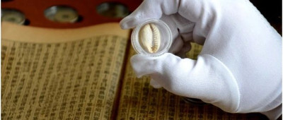 这压岁钱，无敌了